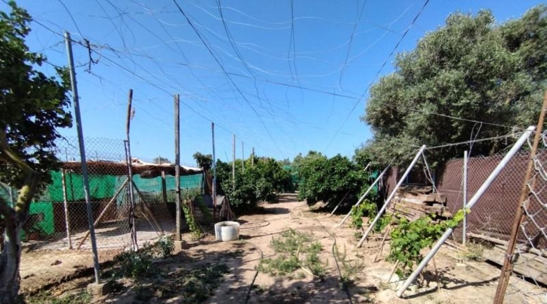Cádiz - Chipiona - 5000m2