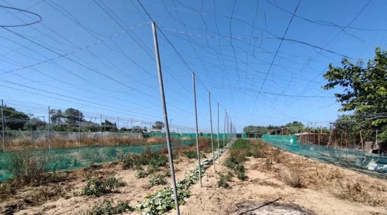 Cádiz - Chipiona - 5000m2