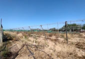Terreny no urbanitzable en venda a la España, Chipiona, ref.: TR122708 foto