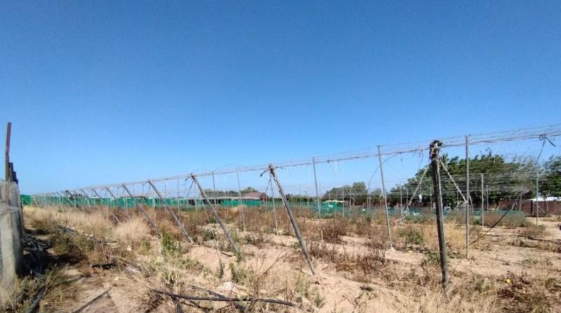 Cádiz - Chipiona - 5000m2