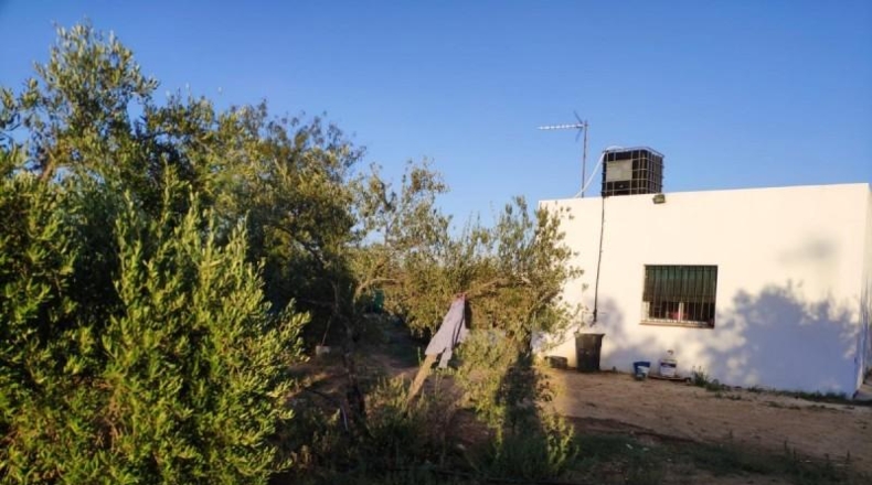 Sevilla - Marchena - 2000m2