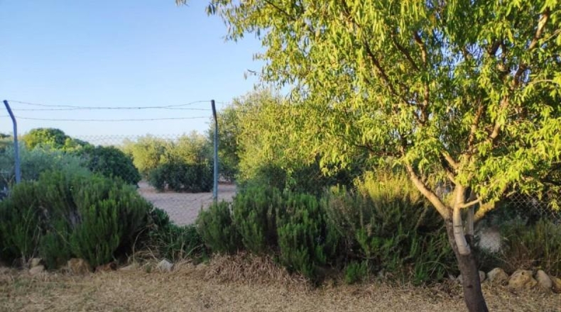 Sevilla - Marchena - 2000m2