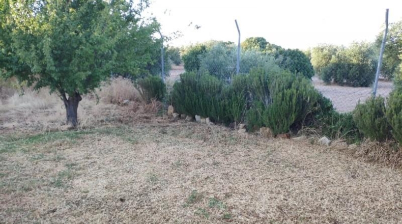 Sevilla - Marchena - 2000m2