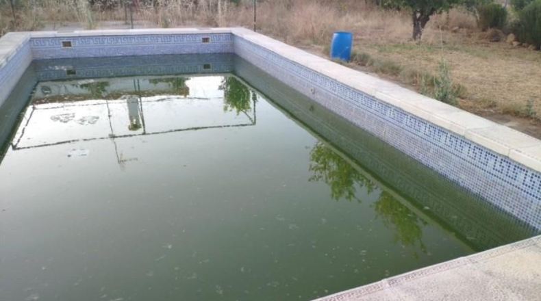 Sevilla - Marchena - 2000m2