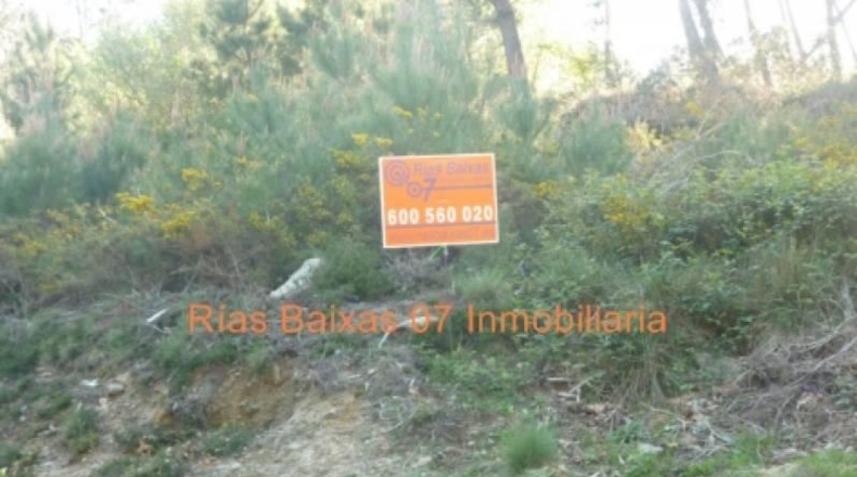 Pontevedra - Porriño - 3110m2