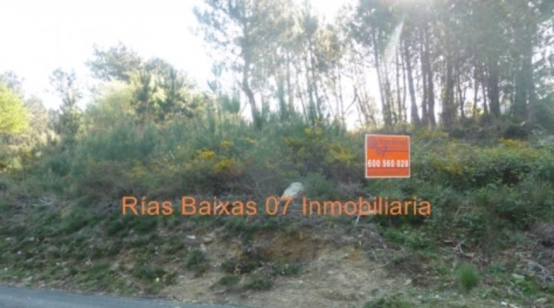 Pontevedra - Porriño - 3110m2