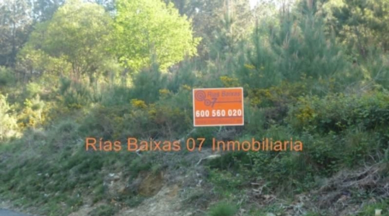 Pontevedra - Porriño - 3110m2