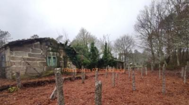 Pontevedra - Puenteareas - 4024m2