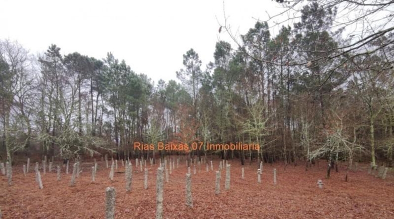 Pontevedra - Puenteareas - 4024m2