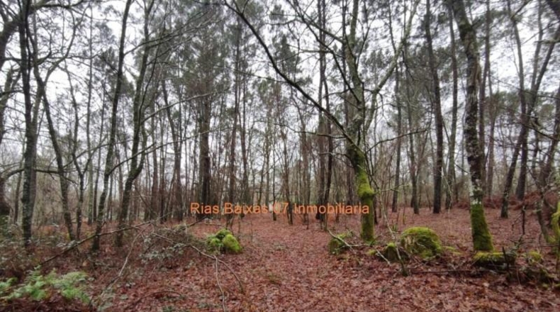 Pontevedra - Puenteareas - 4024m2