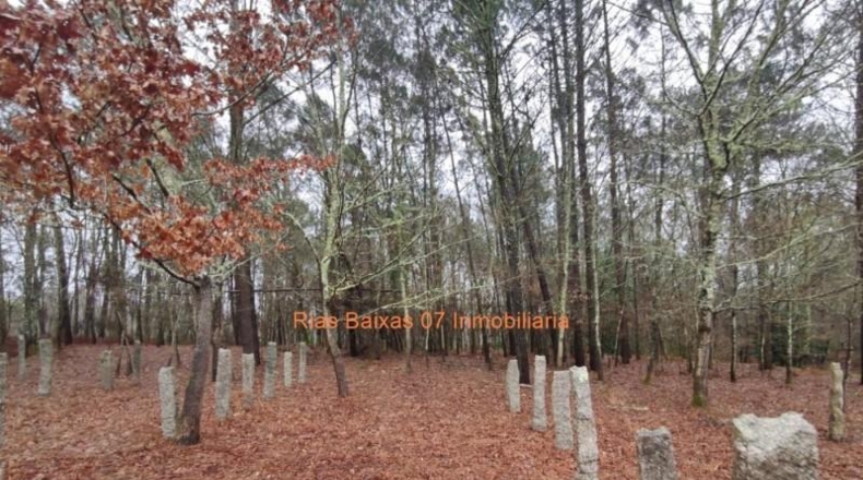 Pontevedra - Puenteareas - 4024m2