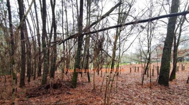 Pontevedra - Puenteareas - 4024m2