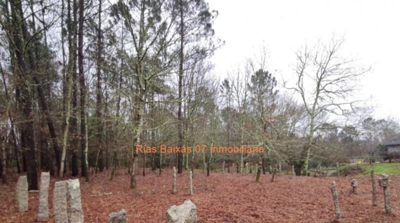 Pontevedra - Puenteareas - 4024m2