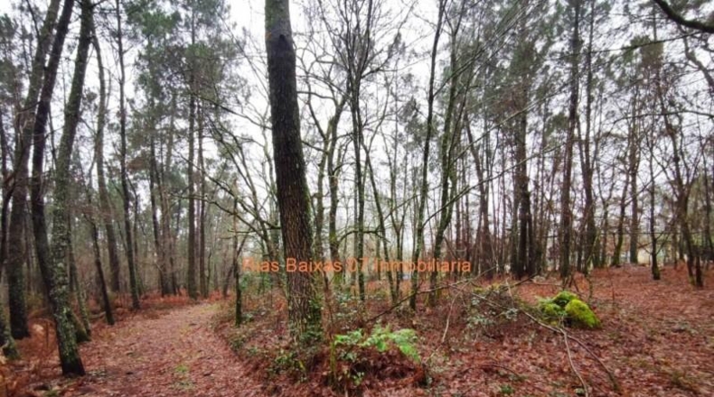 Pontevedra - Puenteareas - 4024m2
