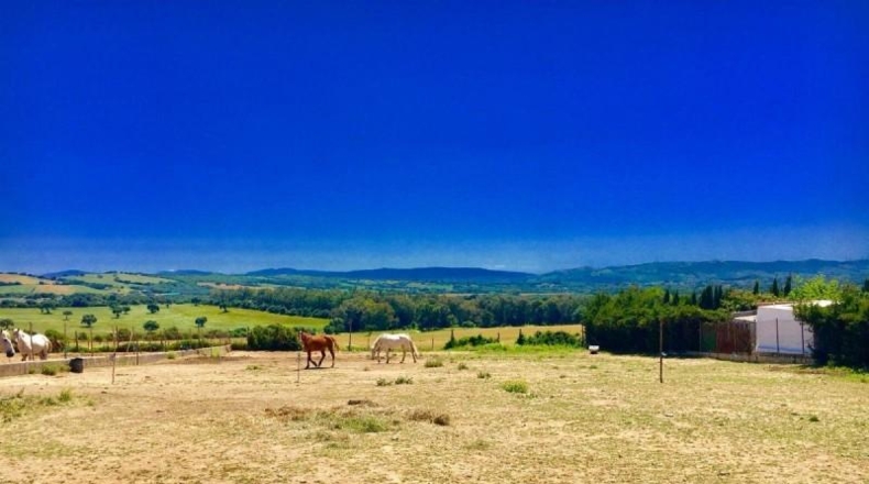 Cádiz - Vejer de la Frontera - 2000m2