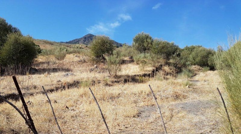 Cádiz - Grazalema - 120000m2