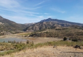 Terreny no urbanitzable en venda a la España, Grazalema, ref.: TR114245 foto