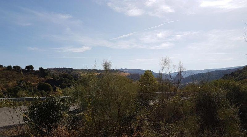 Cádiz - Grazalema - 120000m2