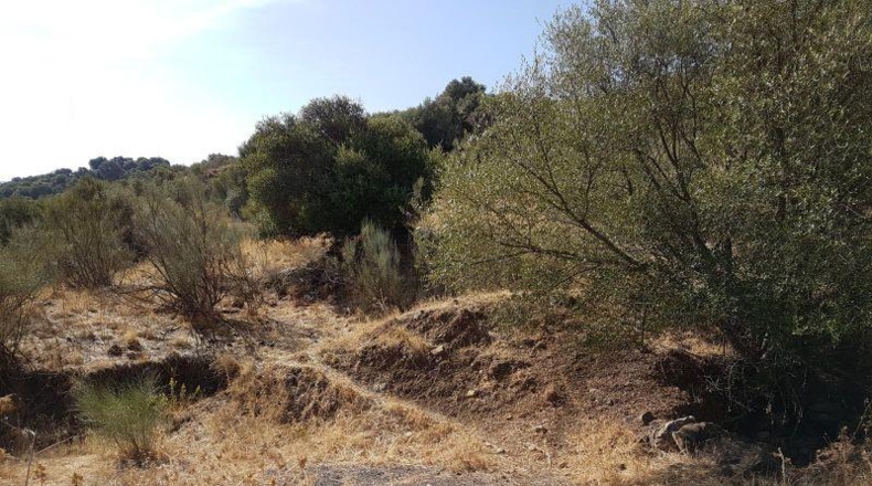 Cádiz - Grazalema - 120000m2