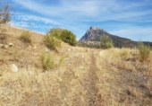 Terreny no urbanitzable en venda a la España, Grazalema, ref.: TR114245 foto