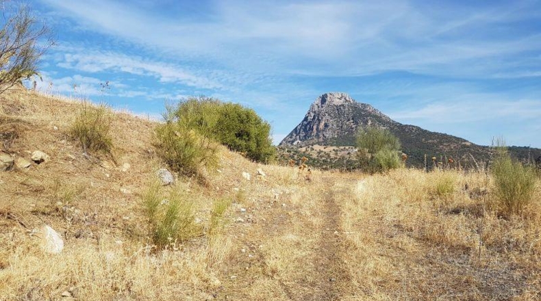 Cádiz - Grazalema - 120000m2