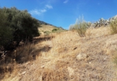 Terreny no urbanitzable en venda a la España, Grazalema, ref.: TR114245 foto