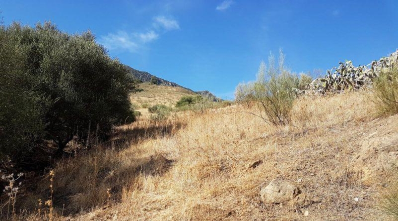 Cádiz - Grazalema - 120000m2
