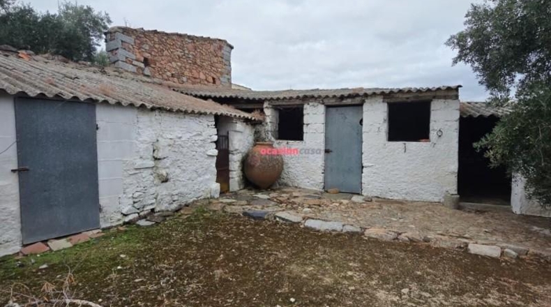 Córdoba - Pedroche - 600m2