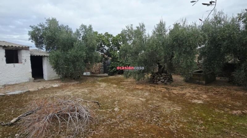 Córdoba - Pedroche - 600m2