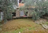 Xalet independent amb terreny en venda a la España, Pedroche, ref.: TR301446 foto