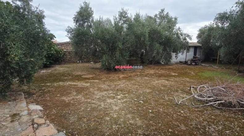 Córdoba - Pedroche - 600m2
