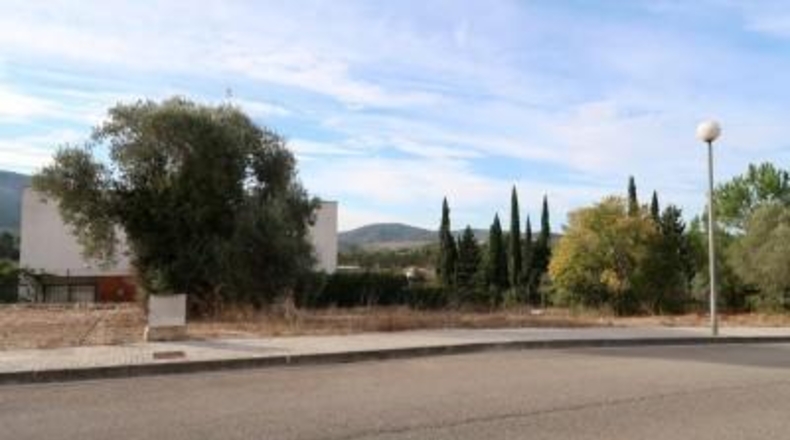 Tarragona - Amposta - 530m2