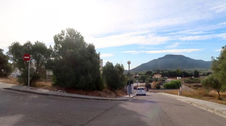 Tarragona - Amposta - 530m2