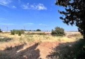 Xalet independent amb terreny en venda a la España, Muro, ref.: TR294357 foto