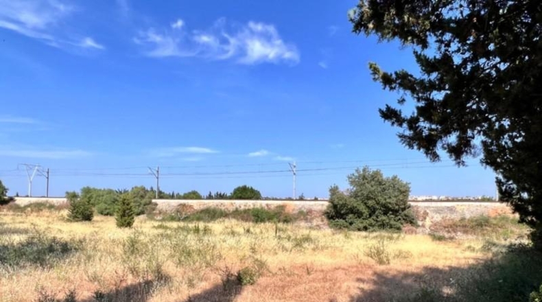 Балеарские острова - Muro - 7271m2
