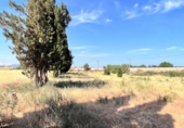 Xalet independent amb terreny en venda a la España, Muro, ref.: TR294357 foto