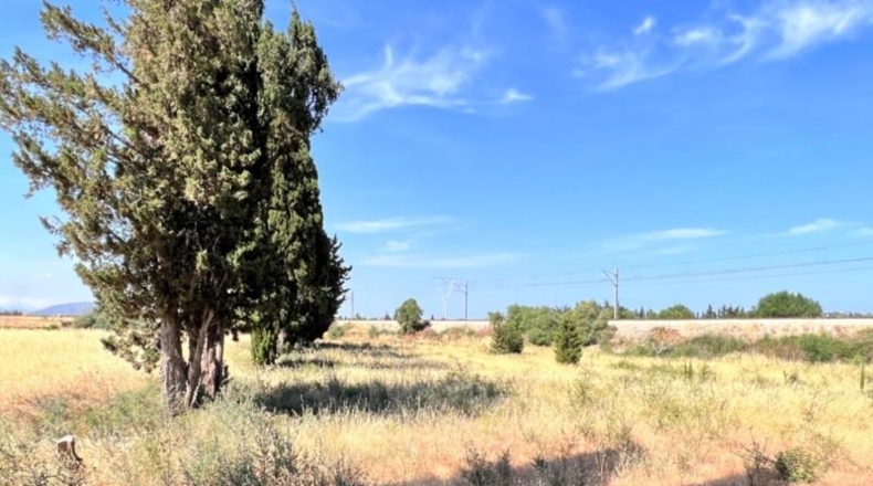 Балеарские острова - Muro - 7271m2