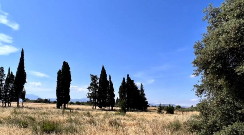 Балеарские острова - Muro - 7271m2