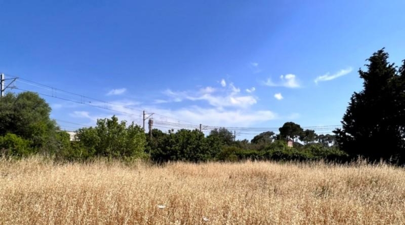Балеарские острова - Muro - 7271m2