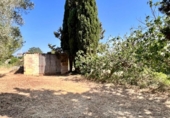 Xalet independent amb terreny en venda a la España, Muro, ref.: TR294357 foto