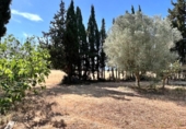 Xalet independent amb terreny en venda a la España, Muro, ref.: TR294357 foto