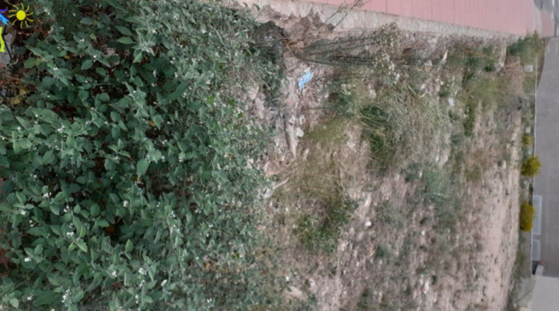 Múrcia - Villanueva del Río Segura - 237m2