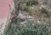 Land suitable for development for sale on España, Villanueva del Río Segura, ref: TR117855 photo
