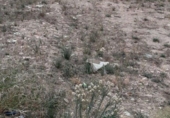 Land suitable for development for sale on España, Villanueva del Río Segura, ref: TR117855 photo