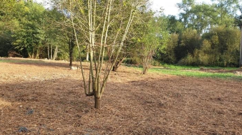 Cantàbria - Cabezón de la Sal - 3502m2