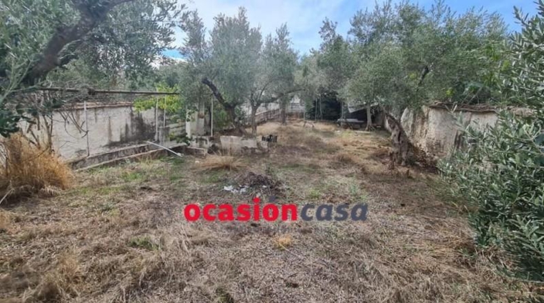 Córdoba - Fuente Obejuna - 500m2