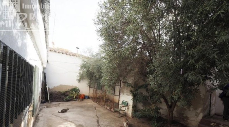Ciudad Real - Tomelloso - 161m2