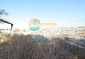 Casa de camp amb terreny en venda a la España, Mazarrón, ref.: TR138447 foto
