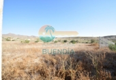 Casa de camp amb terreny en venda a la España, Mazarrón, ref.: TR138447 foto
