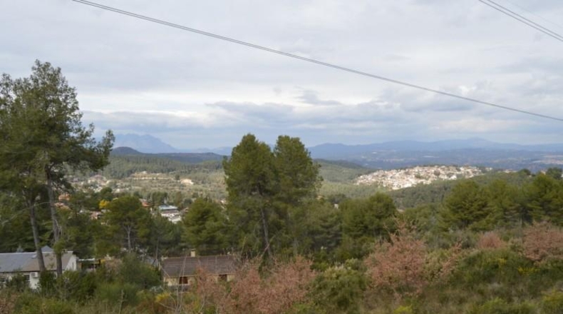 Barcelona - Corbera de Llobregat - 971m2